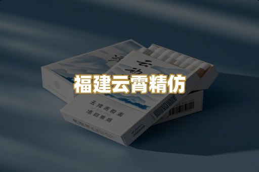 福建云霄精仿